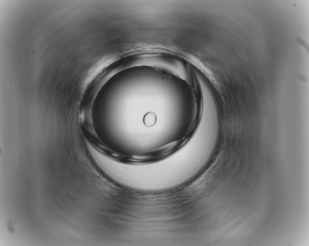 X0000096471269200801241421