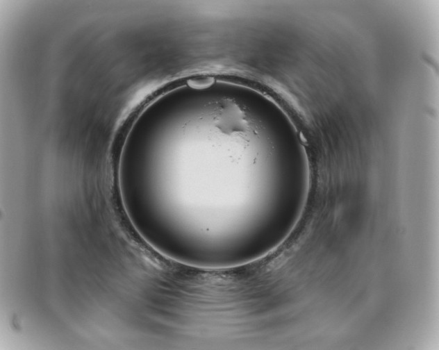 X0000096471270200801241421