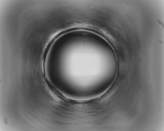 X0000096471272200801241421