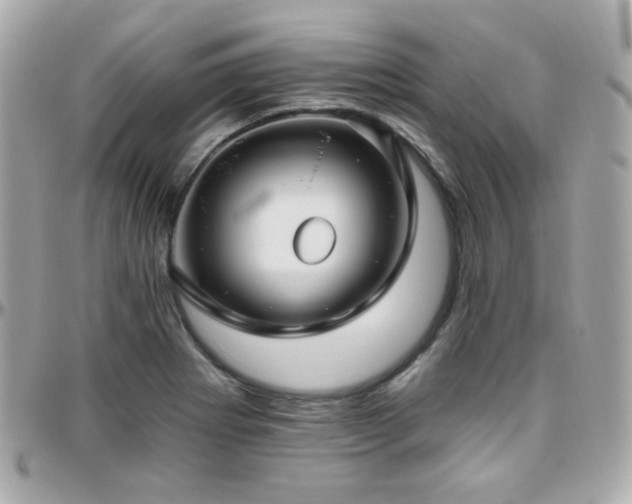 X0000096471273200801241421