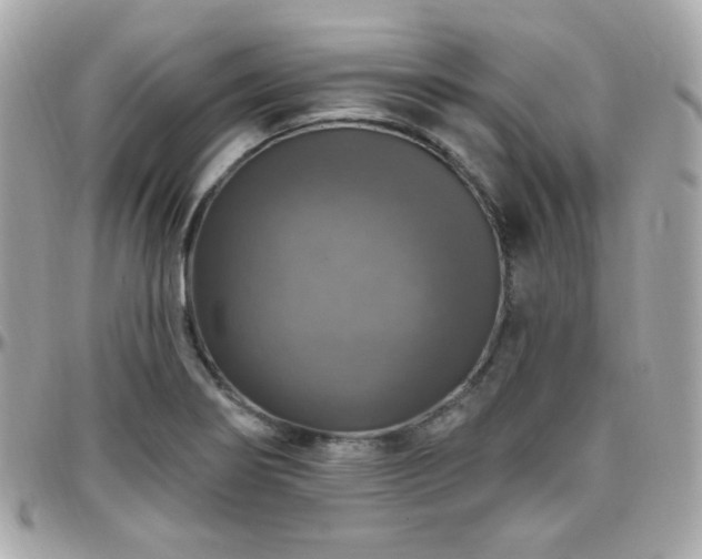 X0000096471274200801241421