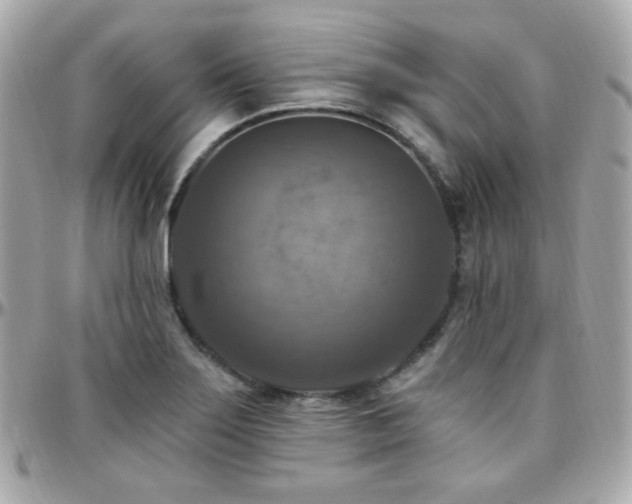 X0000096471275200801241421