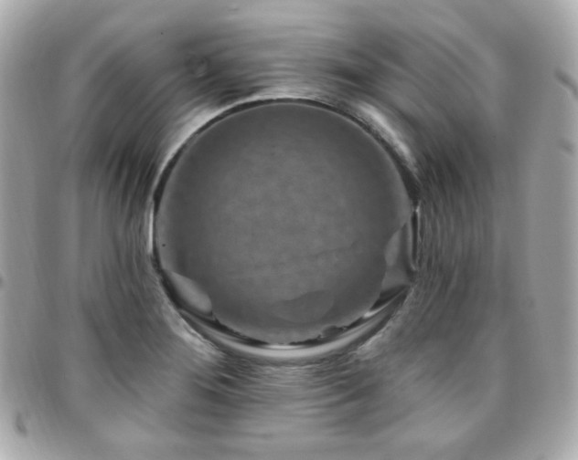 X0000096471276200801241421