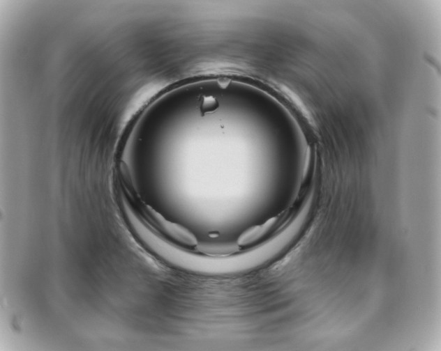 X0000096471277200801241421