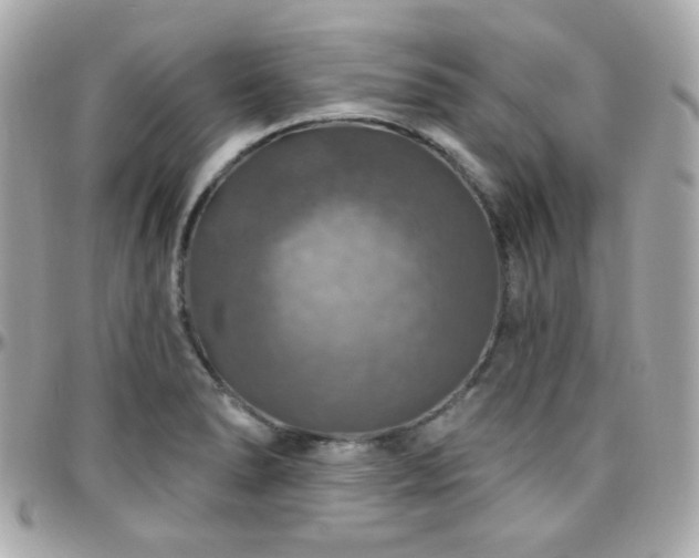 X0000096471278200801241421