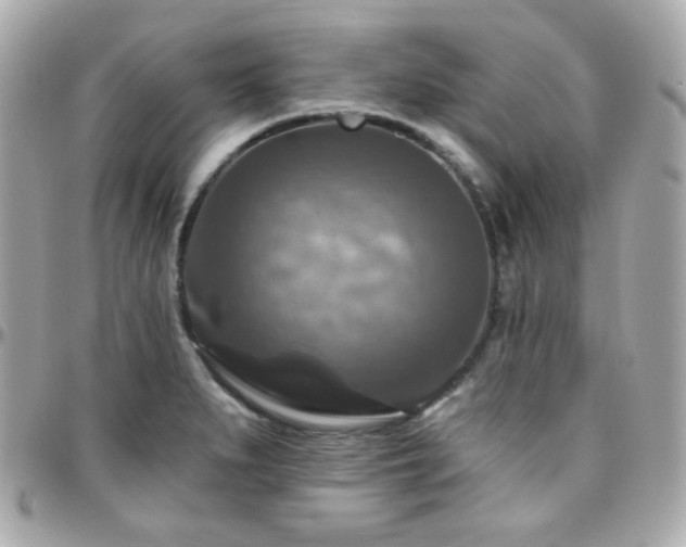 X0000096471279200801241421