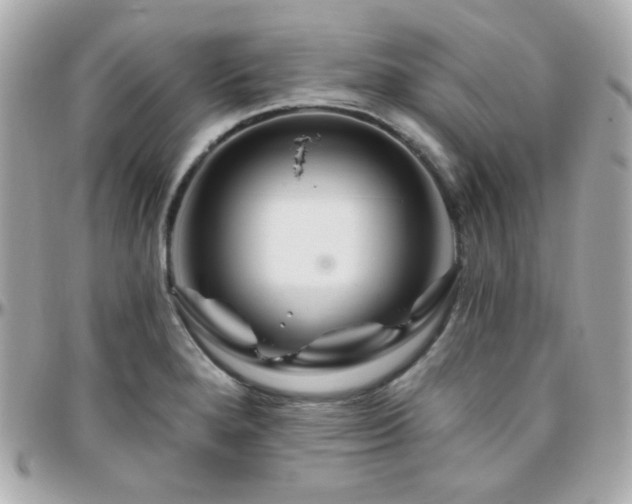 X0000096471280200801241421