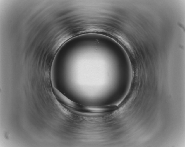 X0000096471281200801241421