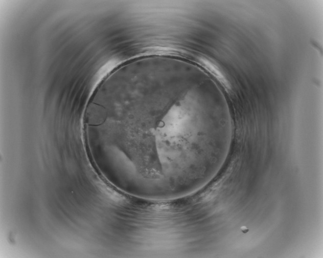 X0000096471283200801241421