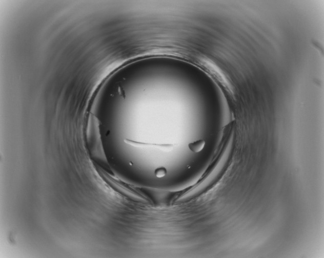 X0000096471284200801241421