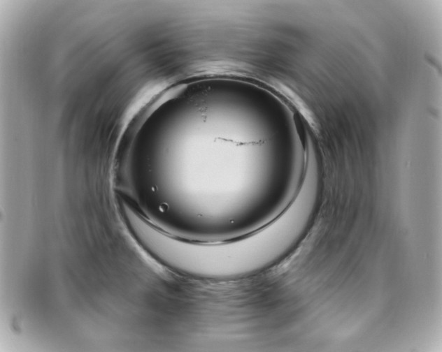 X0000096471285200801241421