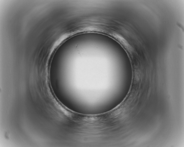 X0000096471286200801241420