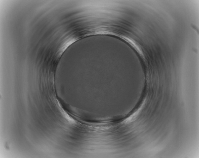 X0000096471289200801241420