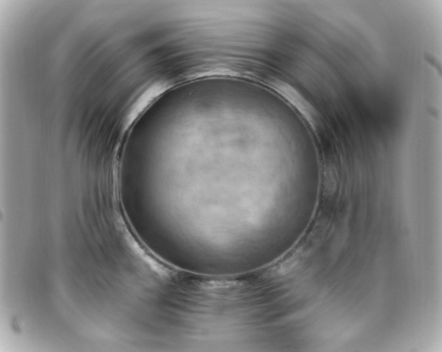 X0000096471290200801241420