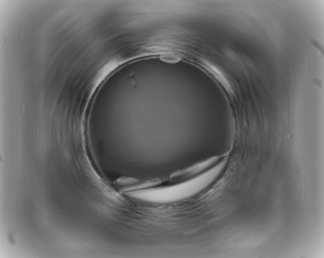 X0000096471291200801241420