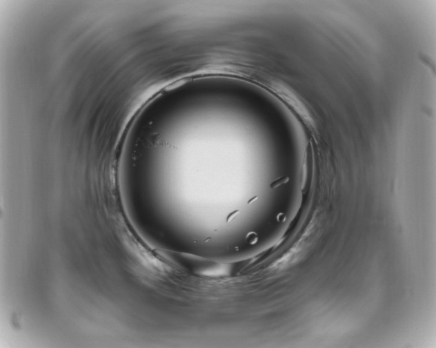 X0000096471292200801241420