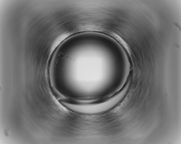 X0000096471293200801241420