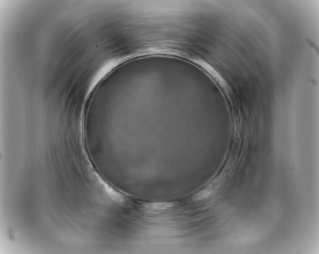 X0000096471294200801241420