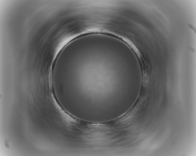 X0000096471295200801241420