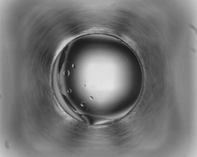 X0000096471296200801241420