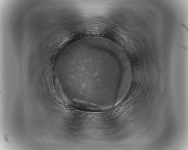 X0000096471297200801241420