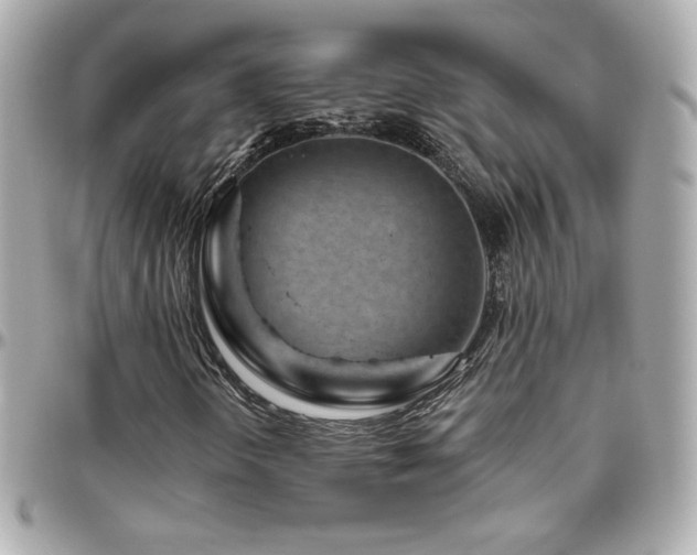 X0000096471298200801241420