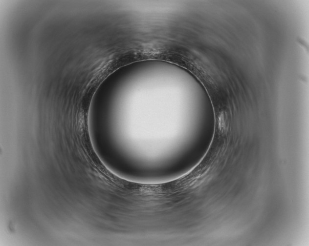 X0000096471299200801241420