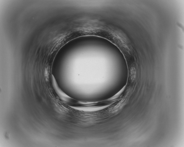 X0000096471300200801241420