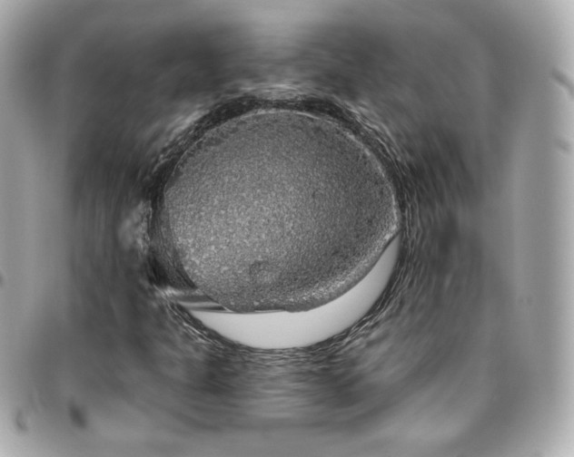 X0000096471301200801241420