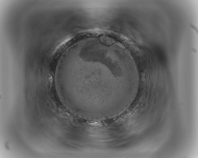 X0000096471302200801241420