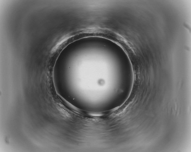 X0000096471304200801241420