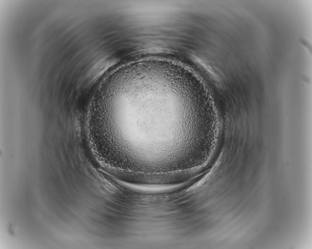 X0000096471305200801241420