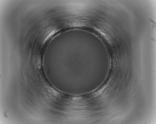 X0000096471306200801241420