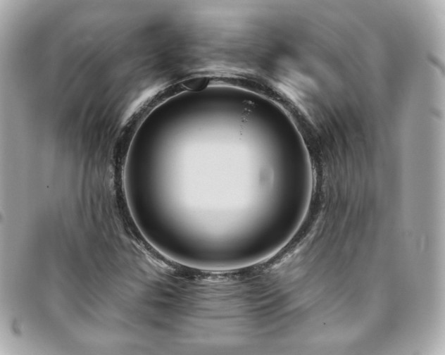 X0000096471307200801241420