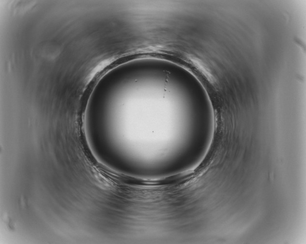 X0000096471308200801241420