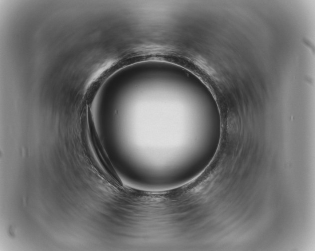 X0000096471309200801241420