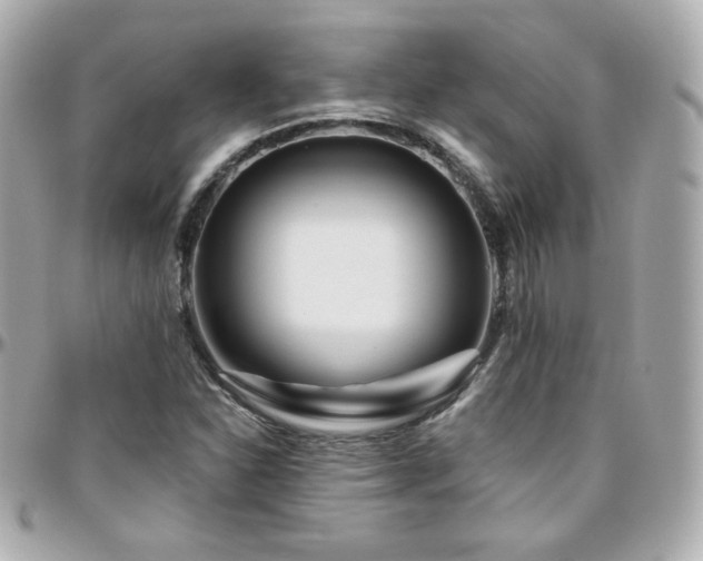 X0000096471310200801241420