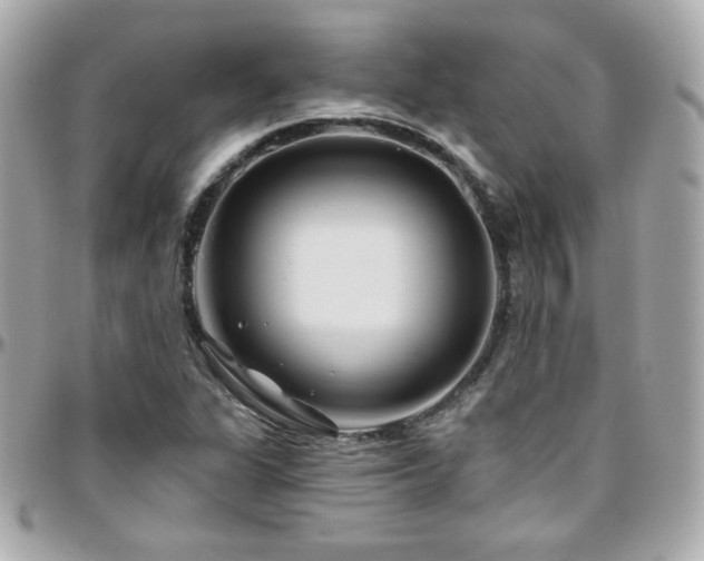 X0000096471311200801241420