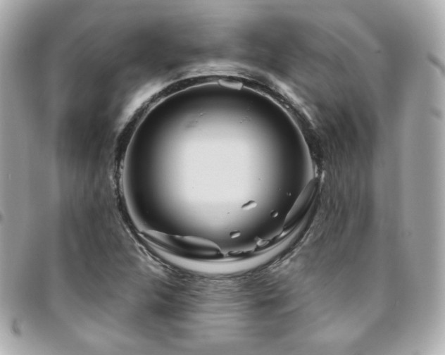 X0000096471312200801241420