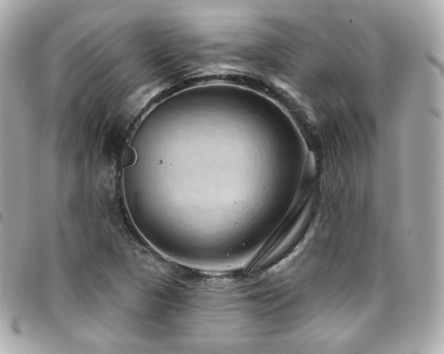 X0000096471313200801241420