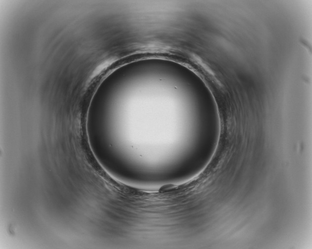 X0000096471315200801241420