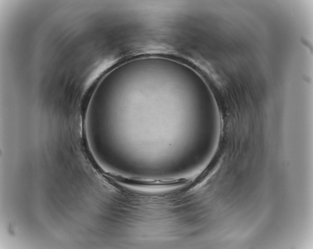 X0000096471317200801241420