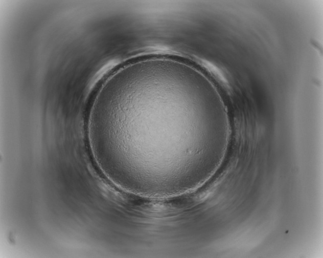 X0000096471318200801241420