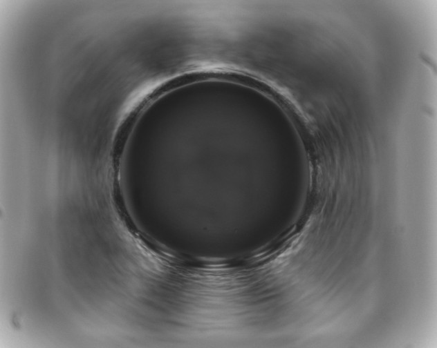 X0000096471319200801241420