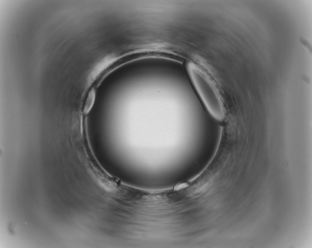 X0000096471320200801241420