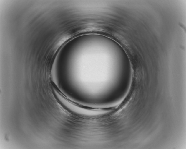 X0000096471321200801241420