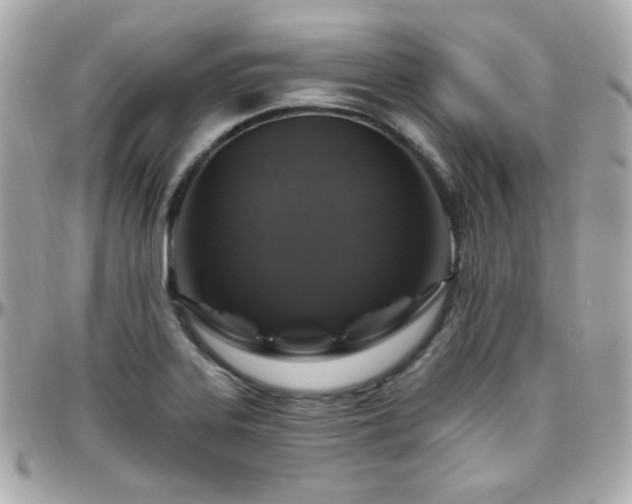 X0000096471323200801241420