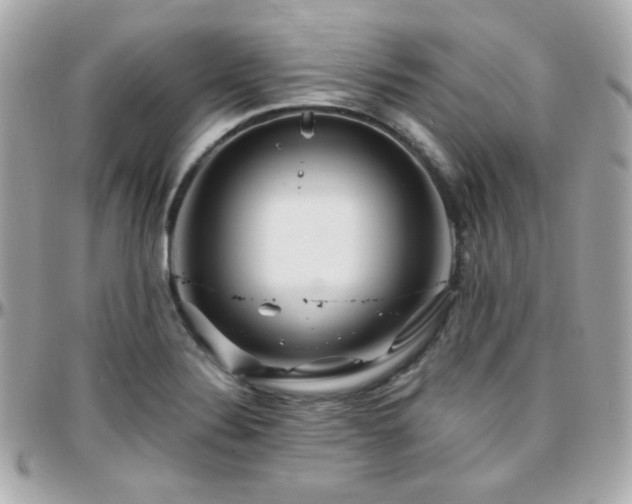 X0000096471324200801241420