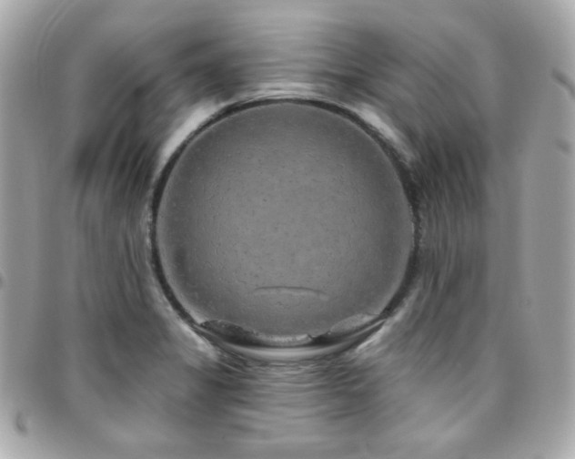 X0000096471325200801241420