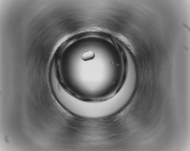 X0000096471326200801241420